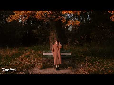 George Kopaliani & Archil da Makvala Chikhladzeebi  - კართან მოდგა შემოდგომა // Remembrance (Remix)