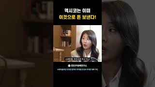 멕시코는 이미 이것으로 돈 보낸다