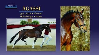 Video von Agassi