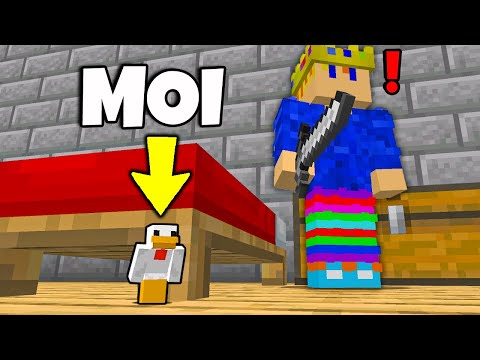 I Cheated in Lowercase while Hide and Seek on Minecraft!