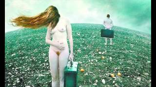 Françoise Hardy. Partir quand même