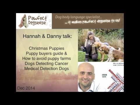 Amplified Behaviour LTD video.