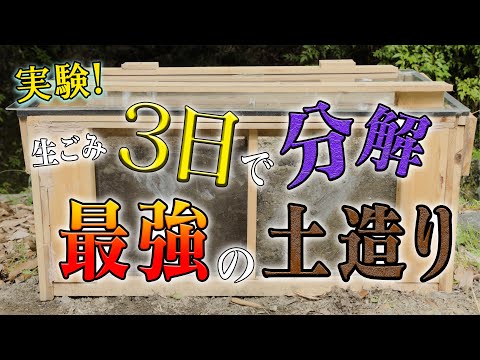 この自家製堆肥活性化剤は、分解を促進する最適なソリューションです。  庭園
