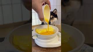 Download lagu 曼玉寿司店正式开业，你愿意来吗？【沉浸式小狗寿司制作】 mp3