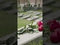 Homepage 1 Video thumbnail