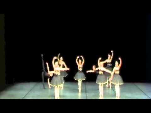 Premiere Elite - Swan Lake