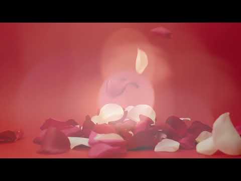 Life is for Living by Ivy Rose Lyon and Maja Norming