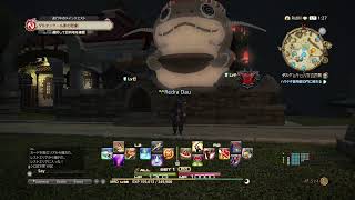 4Z9のFFXIV Live！可愛い愛しのチョコボ編【声はDiscord】