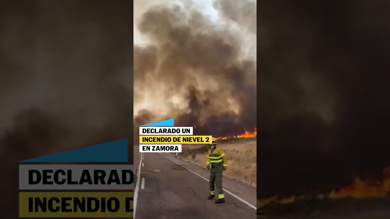 Imágenes del incendio de nivel 2 declarado en Zamora #shorts