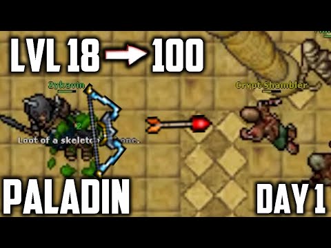 PALADIN: From LVL 18 to 100 in 7 DAYS - Part 1 (Day 1)