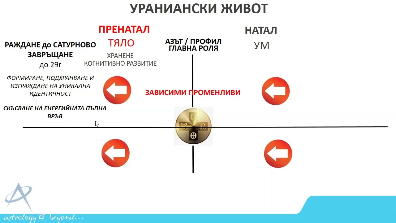 7.11.2024 - РЕЙВ ПСИХОЛОГИЯ