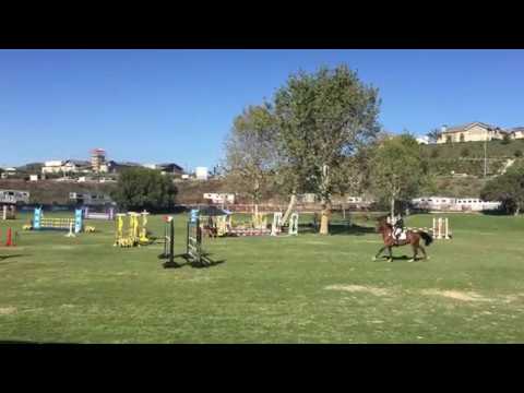 Bastion Bay 1.10 jr/am jumpers The Oaks 2018