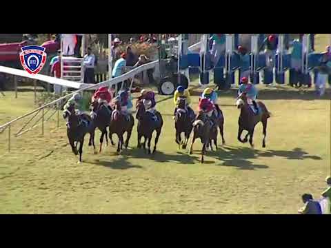THE SWAN DUKE OF YORK CUP - HARD DAY'S NIGHT (FULL VIDEO RACE)