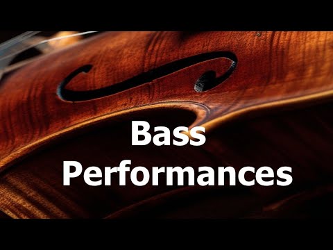 Studio Quartet Series  Deep Solo Bass 8Dio Performances Presets Demo