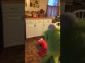Kermit And Elmo Part 9