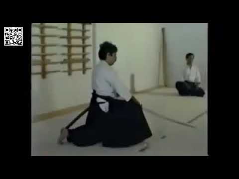 Birankai Aikido & Iaido: Chiba Sensei Iaido