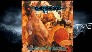 10-Crepitating Bowel Erosion-Carcass-HQ-320k.