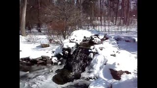 preview picture of video 'Backyard goldfish koi pond in the winter with snow and ice'