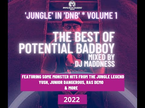 POTENTIAL BADBOY || JUNGLE IN DNB MIX 001 || BY DJ MADDNESS FT: JR DANGEROUS, RAS DEMO, & MORE .