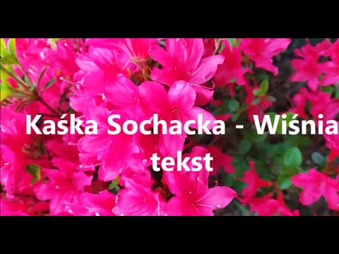 Kaśka Sochacka - Wiśnia + Tekst