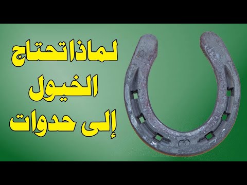 لماذا تحتاج الخيول إلى حدوات بعكس الحمير ؟