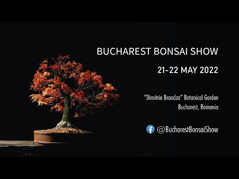 🌳 Bucharest Bonsai Show 🌲 - 📅 May 21-22 | 2022 - Gradina Botanica Bucuresti
