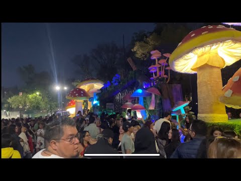 Chillday bis die Polizei kommt - México #07 🇲🇽