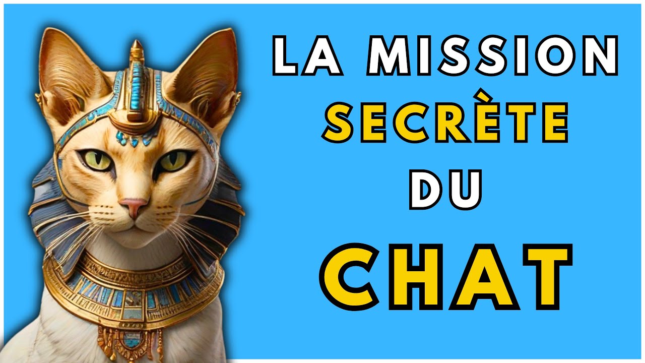 🐱 La Mission SECRÈTE des CHATS: Pourquoi les Chats arrivent ils dans TA VIE ?