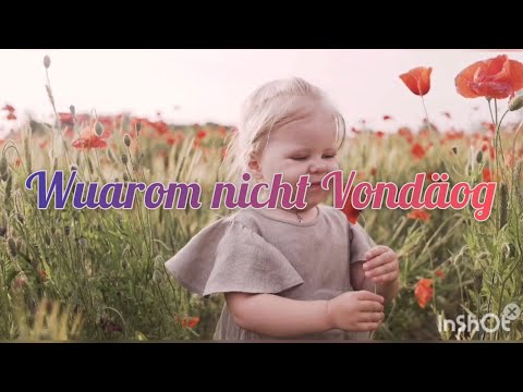 Wuarom nicht Vondäog -Susie Funk (Why not today) plautdietsch 444hz