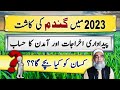 Production Expenses of Wheat Crop 2023-24 || Crop Reformer