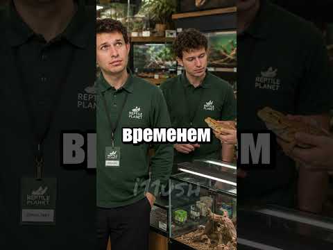 Фейковое спасение черепахи: как уничтожить свою карьеру