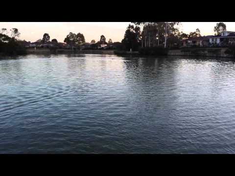 Apparition Trial at Wattle Grove Lake