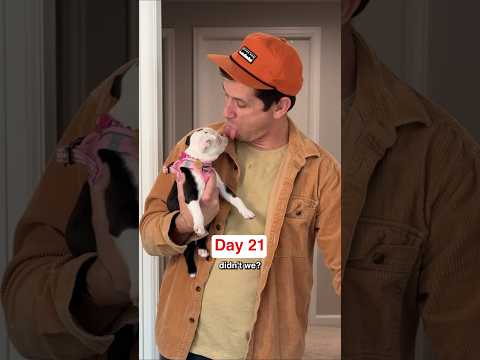 Let's be real... The family dog is dad's dog.