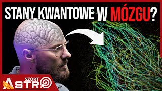 Światło z chaosu. Czy entropia wcale nie rządzi światem? - AstroSzort