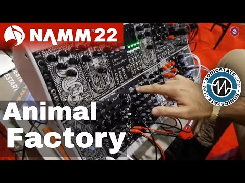 NAMM 22: Animal Factory Amplification - Tannhauser Gates Quad VCA