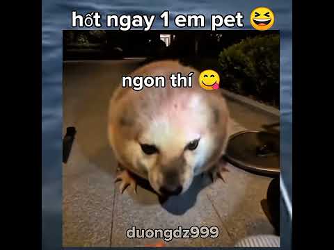 chỉ cần đồ ăn là đủ 😋