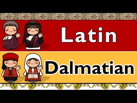LATIN & DALMATIAN