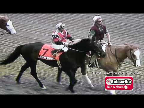 2000 SWALES STAKES   Pt  5 Florida Derby Series