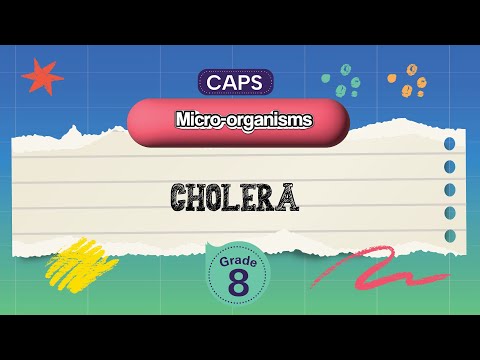 [GRADE 8] Cholera