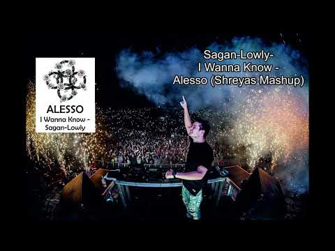 Sagan -Lowly- vs I wanna Know Alesso (Shreyas Mashup)