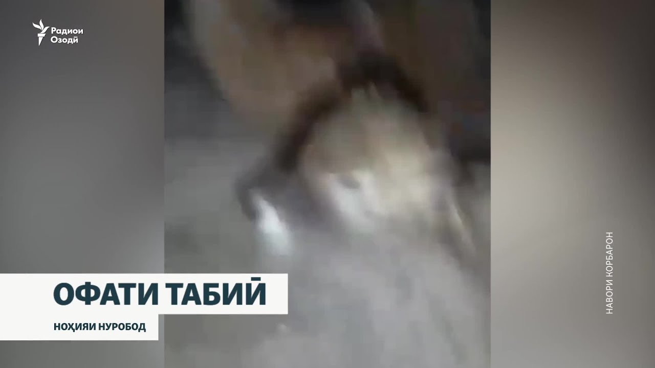 Дар манотиқи мухталифи Тоҷикистон зиён аз борон, боди тунд ва сӯхтор ҳисоб м?