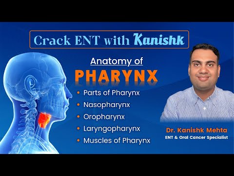 CRACK ENT WITH KANISHK || Anatomy of Pharynx || Dr Kanishk Mehta|| ENT LECTURES BY DR KANISHK MEHTA