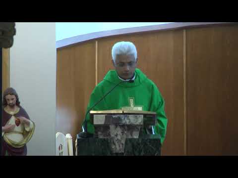 Holy Mass - June 14, 2026