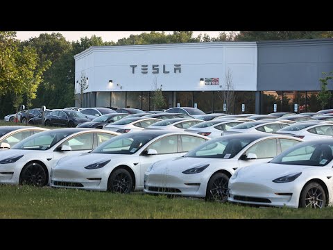 Tesla's robotaxis under investigation by US safety regulator