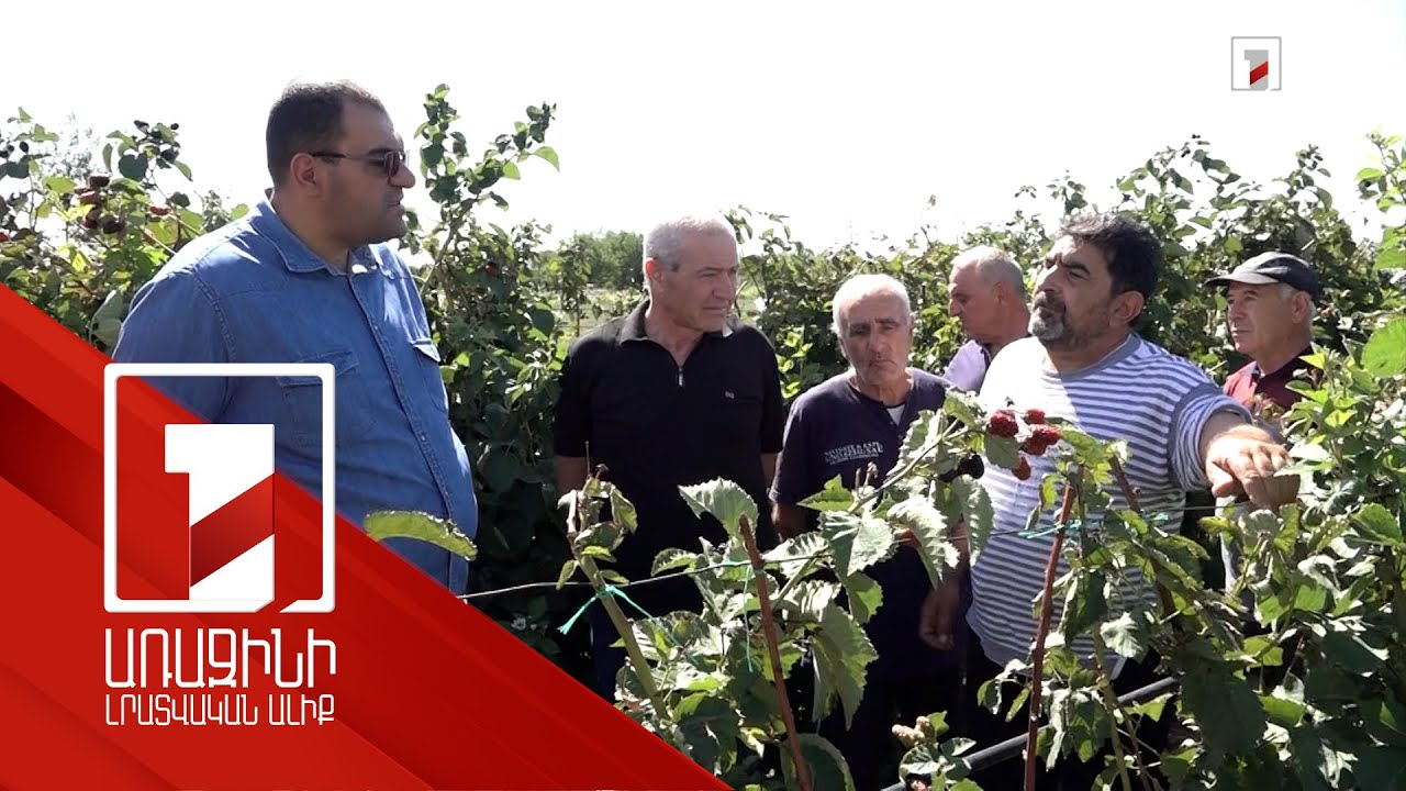 Հաջող փորձարկումներ իրականացրած ֆերմերը գործընկերների համար անվճար դասընթացներ է վարում