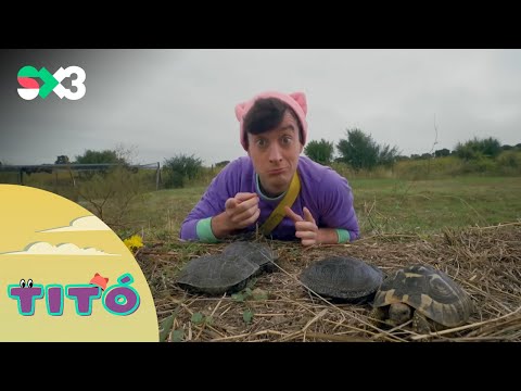 Excursió amb tortugues autòctones | Titó