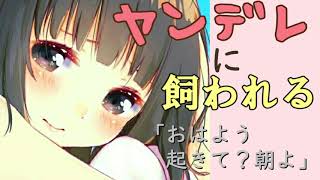 ヤンデレ彼女に監禁される 男性向けシチュエーションボイス أغاني Mp3 مجانا