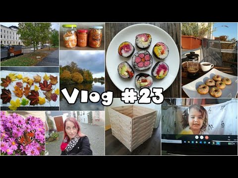 Vlog #23 - nejen o sushi, pletení krabic z lamelek, procházení prázdnými Budějicemi a živém vysílání