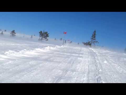 Snöskoter på fjället