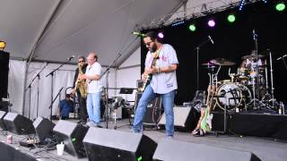 Billy Iuso & the Restless Natives -- Trippin' Over Dragons -- Paulie's Festival